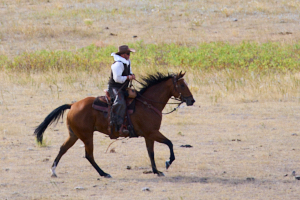 Buffalo LVS02054