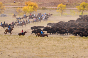 Buffalo LVS02057
