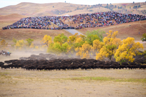 Buffalo LVS02060
