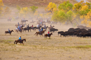 Buffalo LVS02064