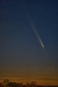 LVS09174