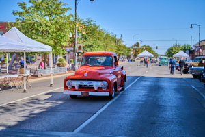 LVS20204