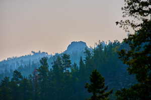 LVS00129