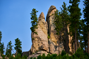 LVS00140