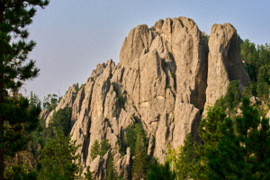 LVS00150